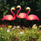 Solar Flamingo Garden Light For Outdoor Pathway Patio Yard Decor With Waterproof LED Stake Design 2