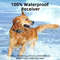 Rechargeable Waterproof Dog Training Collar With Remote Vibration And Shock Modes For Bark Control 2