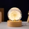 3D Dandelion Crystal Ball With Wood Stand Luminous Flower Sphere 7