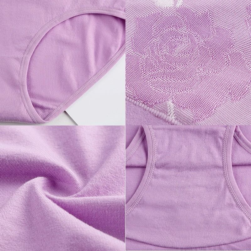 Womens Plus Size High Waist Cotton Panties 3 Pack M To 5XL 5