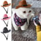 Adjustable Pet Cowboy Hat For Dogs And Cats 1