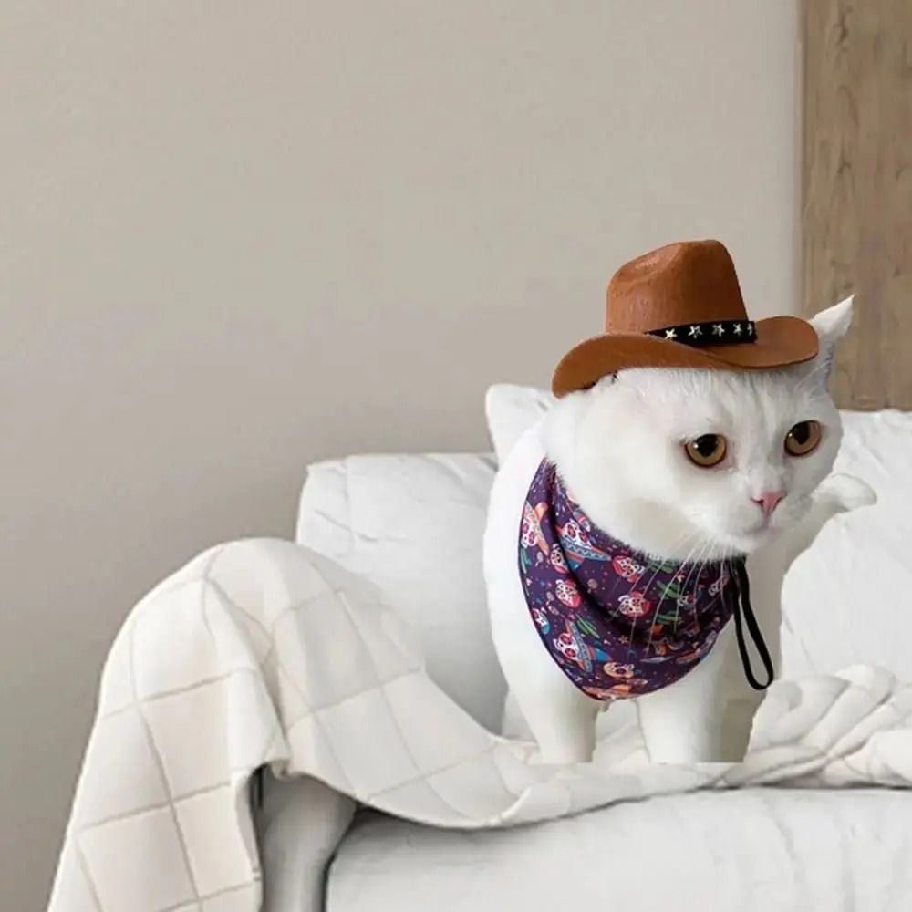 Adjustable Pet Cowboy Hat For Dogs And Cats 4