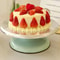 10 Inch Baking Tool Aluminum Alloy Cake Turntable For Decorating 2