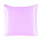 Pure Silk Pillowcase With Zipper Closure Soft Luxury Pillow Cover 10