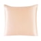 Pure Silk Pillowcase With Zipper Closure Soft Luxury Pillow Cover 13