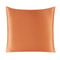 Pure Silk Pillowcase With Zipper Closure Soft Luxury Pillow Cover 6