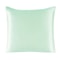 Pure Silk Pillowcase With Zipper Closure Soft Luxury Pillow Cover 18