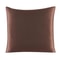 Pure Silk Pillowcase With Zipper Closure Soft Luxury Pillow Cover 24