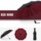 Windproof Double Layer Fully Automatic Resistant Umbrella 9