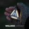 WELLHIKE Outdoor Triangle Light Camping Night Lamp With Warning Badge Function 0