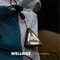 WELLHIKE Outdoor Triangle Light Camping Night Lamp With Warning Badge Function 1
