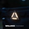 WELLHIKE Outdoor Triangle Light Camping Night Lamp With Warning Badge Function 4