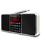 Lefon Digital FM Radio Receiver With MP3 Player And LED Display 9