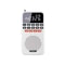Mini Portable Pocket Radio With Dual Antenna Bluetooth Speaker And LED Display 7