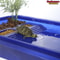 Transparency Turtle Tank House With Basking And Breeding Areas Reptile Habitat 4