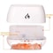 Himalayan Salt Stone Aroma Air Humidifier Flame Night Light Diffuser 4