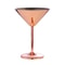 Stainless Steel Cocktail Flute Metal Wine Cup Martini Glass 5