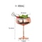 Stainless Steel Cocktail Flute Metal Wine Cup Martini Glass 18