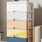 Multi Layer Plastic Storage Box Home Organizer Underbed Storage 2