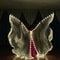 Belly Dance LED Isis Wings Fluorescent Butterfly Performance Costume 0