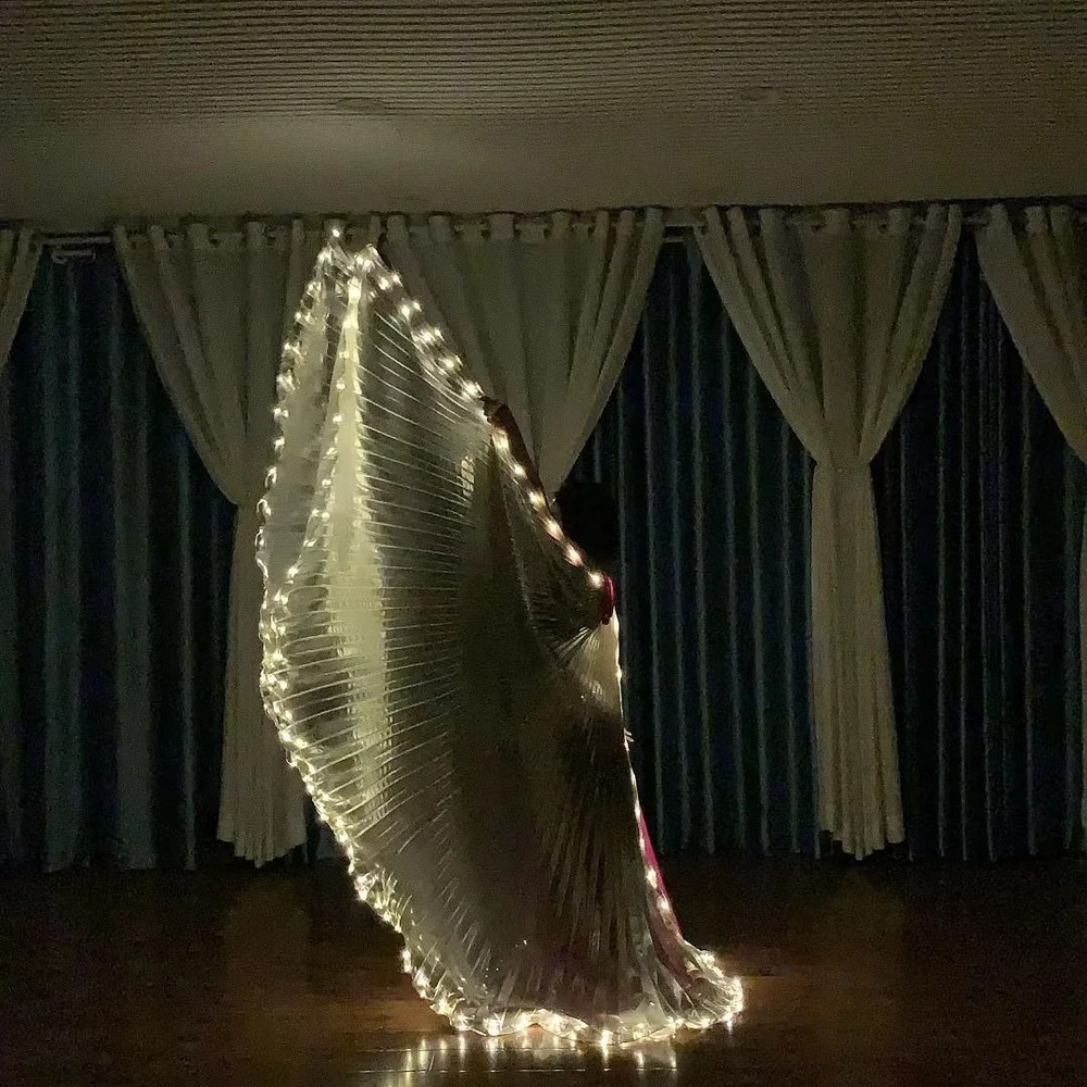 Belly Dance LED Isis Wings Fluorescent Butterfly Performance Costume 3