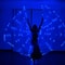 Belly Dance LED Isis Wings Fluorescent Butterfly Performance Costume 19