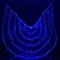 Belly Dance LED Isis Wings Fluorescent Butterfly Performance Costume 22