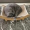 Wooden Cat Scratching Bed Kit With Detachable Scratch Board Multifunction Toy 2