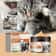 Pet Anti Itch Skin Soothing Recovery Cream Herbal Nourishing Treatment 3