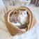 Warm Thickened Cat Bed Foldable Pet Mat For Cats And Small Dogs 2