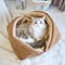 Warm Thickened Cat Bed Foldable Pet Mat For Cats And Small Dogs 2