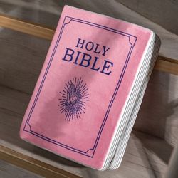 bible memory foam pillow john 3 verse soft pink throw cushion
