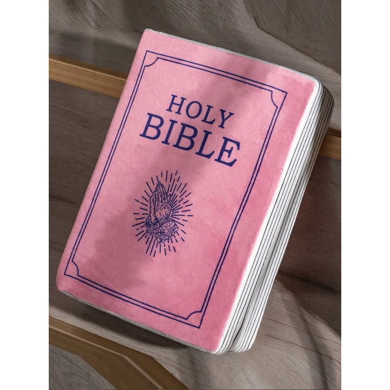 Bible Memory Foam Pillow John 3 Verse Soft Pink Throw Cushion 5