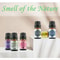 500ML Aromatherapy Oil Diffuser With 6 Essential Oils Set 3