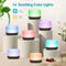 500ML Aromatherapy Oil Diffuser With 6 Essential Oils Set 6