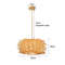 Rattan Wicker Bamboo Pendant Ceiling Lamp 11