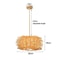 Rattan Wicker Bamboo Pendant Ceiling Lamp 11