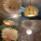 Rattan Wicker Bamboo Pendant Ceiling Lamp 1
