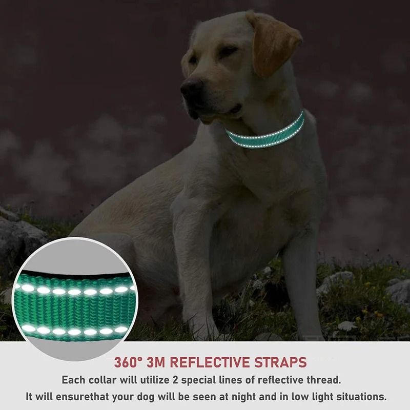 Reflective Adjustable Nylon Dog Collar For Small And Medium Pets 3