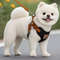 Pet Dog Harness And Leash Set For Small And Medium Pets 1