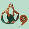 Pet Dog Harness And Leash Set For Small And Medium Pets 6