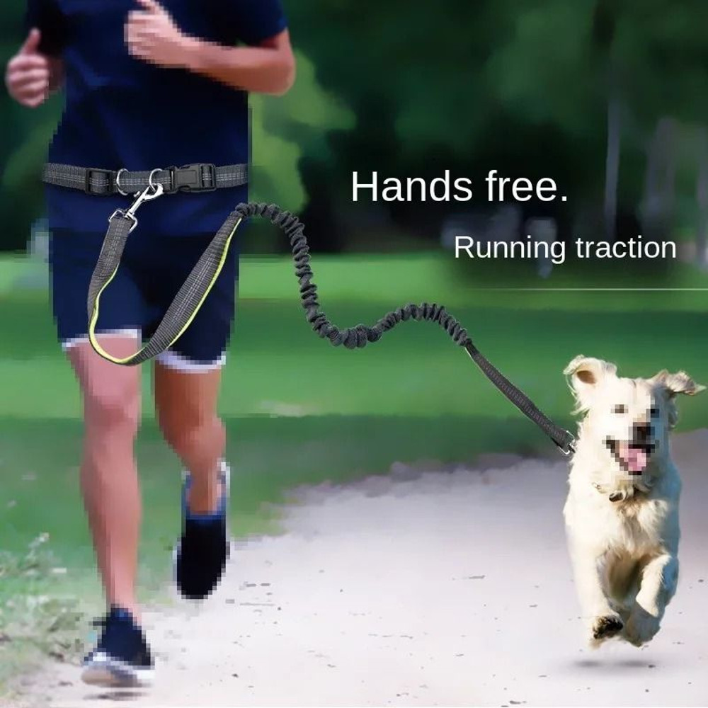Hand Free Dog Leash Waist Belt Chest Strap Set 4