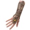 Gothic Steampunk Lace Fingerless Glove Arm Warmer 1