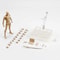 Drawing Figurines Body Kun PVC Movable Model 9