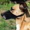 Soft Nylon Dog Muzzle For Small Medium Large Dogs 1