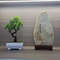 Artificial Bonsai Plant Home Table Decoration 3