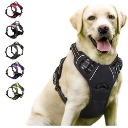 dog harness and leash set for small medium and large dogs