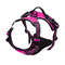 Dog Harness And Leash Set For Small Medium And Large Dogs 13