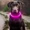 Pet Dog LED Light Collar Luminous Anti Lost USB Rechargeable Necklace 8
