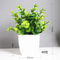 Artificial Bonsai Eucalyptus Potted Plant For Indoor Outdoor Decor 9
